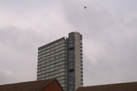 Maydew Tower Vorschau